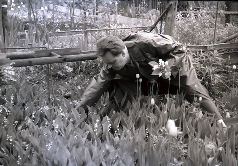 Arno im Garten